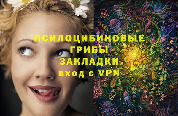 гидропоника Нея